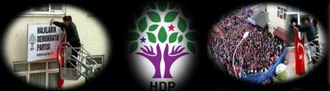 hdp